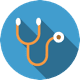 Medicina interna veterinaria